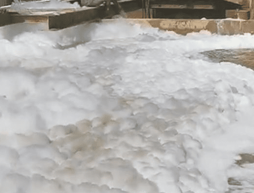 （圖：動(dòng)物屠宰廢水起泡原因）