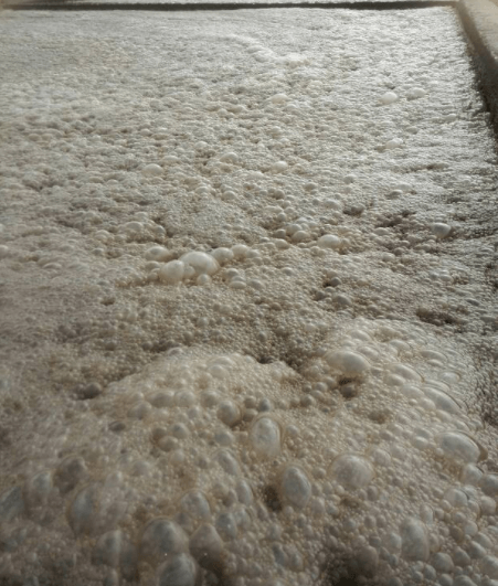 （圖：污水池泡沫）