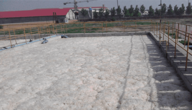 （圖：污水廠泡沫池現(xiàn)場(chǎng)）