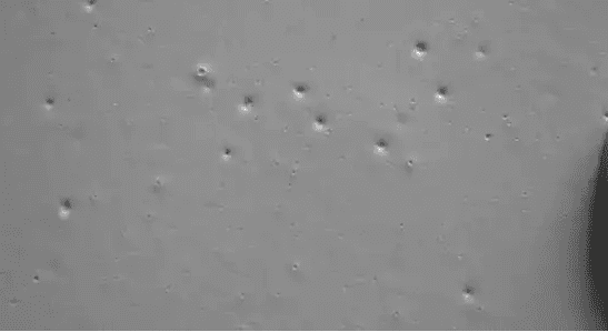 （圖：涂料起泡引起表面缺陷）