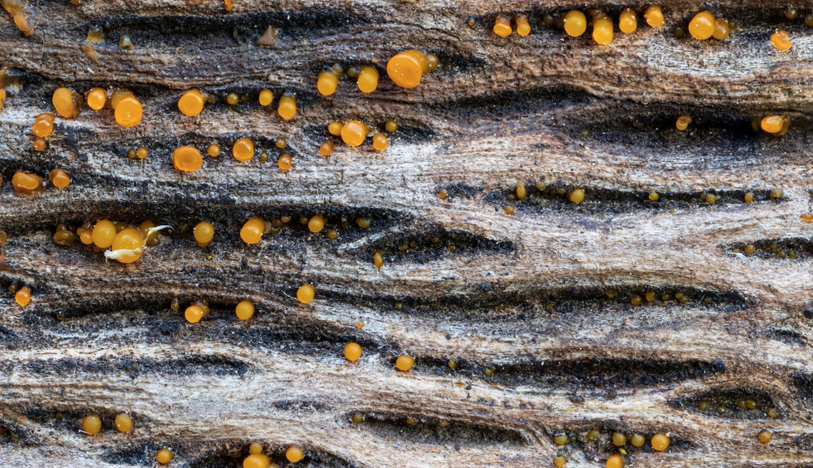 （圖：水性消泡劑用途）