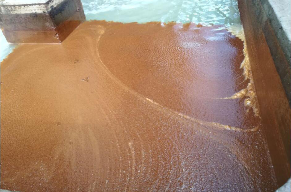 （圖：南輝水處理消泡劑應用）