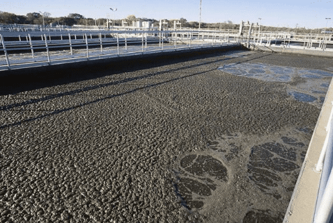 （微生物水處理消泡劑應(yīng)用場(chǎng)景）